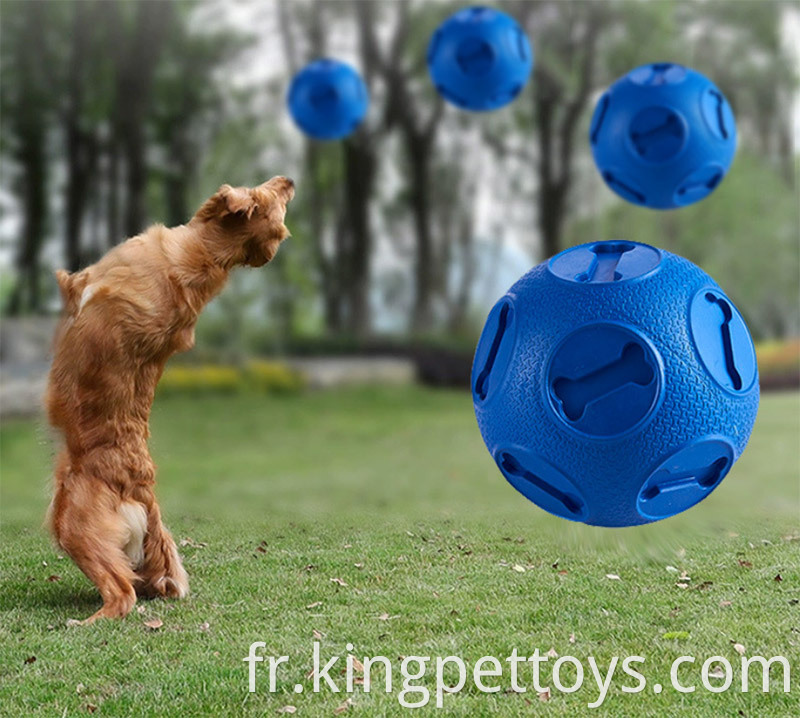 Pet Ball Interactive Dog Toy Ball